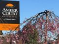 Amber Court Motel ホテル詳細