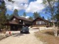 Holiday home Dølemo Hillestadheia VI ホテル詳細