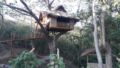 Romantic Tree house at Pirates Diving Resort Coron ホテル詳細