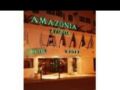 Amazonia Lisboa Hotel ホテル詳細