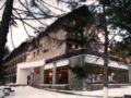 Ana Hotels Bradul Poiana Brasov ホテル詳細