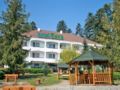 Best Western Hotel Park Sfantu Gheorghe ホテル詳細