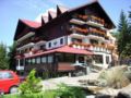 Drachenhaus Poiana Brasov ホテル詳細