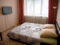 Cozy apartment in the center of Yaroslavl  ホテル詳細