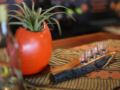 Bartnique Guesthouse ホテル詳細