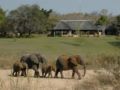 Inyati Game Lodge ホテル詳細