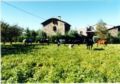 Casa Rural La Vall del Cadi ホテル詳細