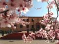 Hotel Convento de Santa Clara ホテル詳細