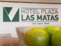 Hotel Plaza Las Matas ホテル詳細