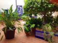 Hotel Sant Jaume ホテル詳細