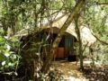 Mahoora Tented Safari Camp - Dambana ホテル詳細