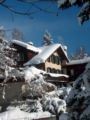 Chalet Hohturnen ホテル詳細