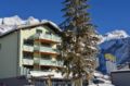 Hotel Hahnenblick ホテル詳細