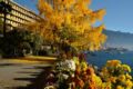Royal Plaza Montreux & Spa ホテル詳細