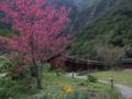 Taroko Village Hotel ホテル詳細