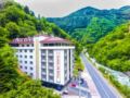 Golden Inn Hotel Uzungol ホテル詳細