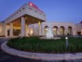 Hilton Garden Inn Mardin ホテル詳細