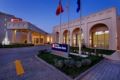 Hilton Garden Inn Mardin ホテル詳細