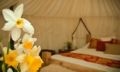 Plush Tents Glamping Hotel ホテル詳細