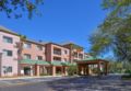 Courtyard Tampa North/I-75 Fletcher ホテル詳細