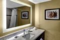 Doubletree by Hilton Dallas DFW South Arlington ホテル詳細