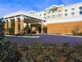 Embassy Suites Tampa - Brandon Hotel ホテル詳細