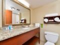 Hampton Inn Detroit Auburn Hills South ホテル詳細