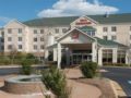 Hilton Garden Inn Auburn Opelika ホテル詳細