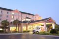 Hilton Garden Inn Baton Rouge Airport ホテル詳細