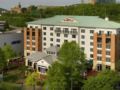 Hilton Garden Inn Chattanooga Downtown Hotel ホテル詳細