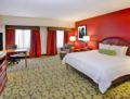 Hilton Garden Inn Chicago - Midway Airport Hotel ホテル詳細