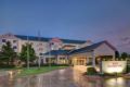 Hilton Garden Inn DFW Airport South ホテル詳細