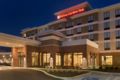 Hilton Garden Inn Pittsburgh Airport South/Robinson Mall ホテル詳細