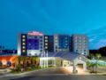 Hilton Garden Inn Tampa Airport Westshore ホテル詳細