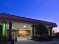 Holiday Inn Cincinnati Airport ホテル詳細