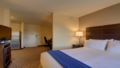 Holiday Inn Express & Suites Alpharetta ホテル詳細