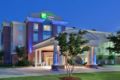 Holiday Inn Express & Suites Baton Rouge East ホテル詳細