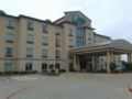 Holiday Inn Express & Suites Garland SW - NE Dallas Area ホテル詳細