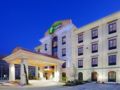 Holiday Inn Express Hotel & Suites Dallas/Stemmons Fwy(I-35) ホテル詳細