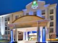Holiday Inn Express Hotel & Suites Fredericksburg ホテル詳細