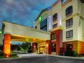 Holiday Inn Express Richmond Airport ホテル詳細