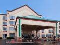 Holiday Inn Hotel And Suites Wausau-Rothschild ホテル詳細