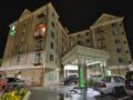 Holiday Inn hotel &Suites Arden -Asheville Airport ホテル詳細