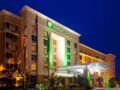 Holiday Inn Hotel & Suites Orange Park ホテル詳細