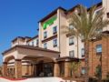 Holiday Inn Hotel & Suites Lake Charles South ホテル詳細