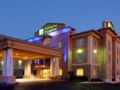 Holiday Inn Hotel & Suites Northwest San Antonio ホテル詳細