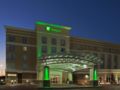 Holiday Inn Meridian East I 59 / I 20 ホテル詳細