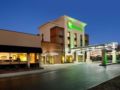 Holiday Inn South County Center - St. Louis ホテル詳細