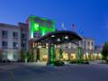 Holiday Inn Stevens Point - Convention Center ホテル詳細