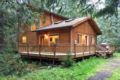 Mt Baker Rim Cabin #64 - Newer 2 bedroom cabin ホテル詳細